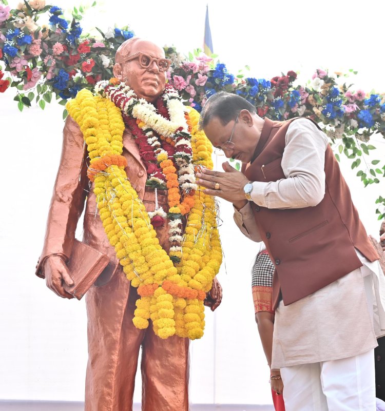 मुख्यमंत्री श्री विष्णुदेव साय ने संविधान दिवस के अवसर पर डॉ. भीमराव अंबेडकर की प्रतिमा पर माल्यार्पण कर किया नमन
